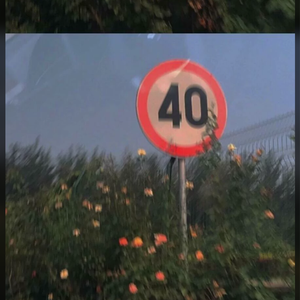 春野樱的色情诱惑
