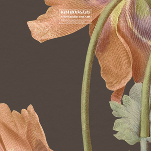 春野樱的色情诱惑
